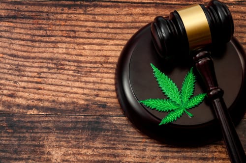 Marijuana Possession Case